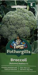 Broccoli Babilon F1 Seeds